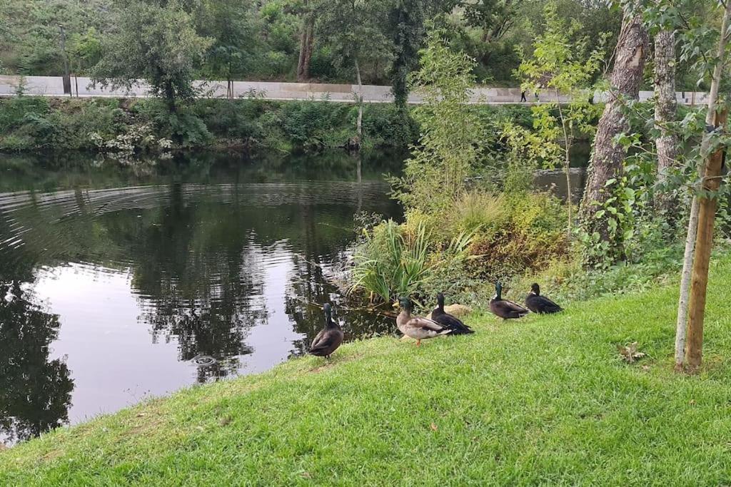 Nature E Spa Al - Termas Saude E Beleza, Totalmente Renovado - Piscinas Municipais Em Frente - Epoca Julho A Setembro São Pedro do Sul Εξωτερικό φωτογραφία
